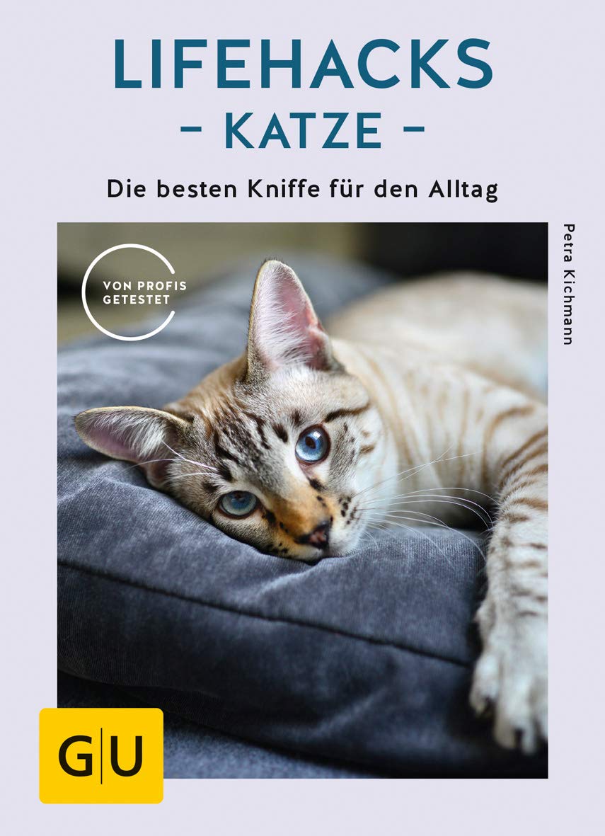 Lifehacks Katze Pets