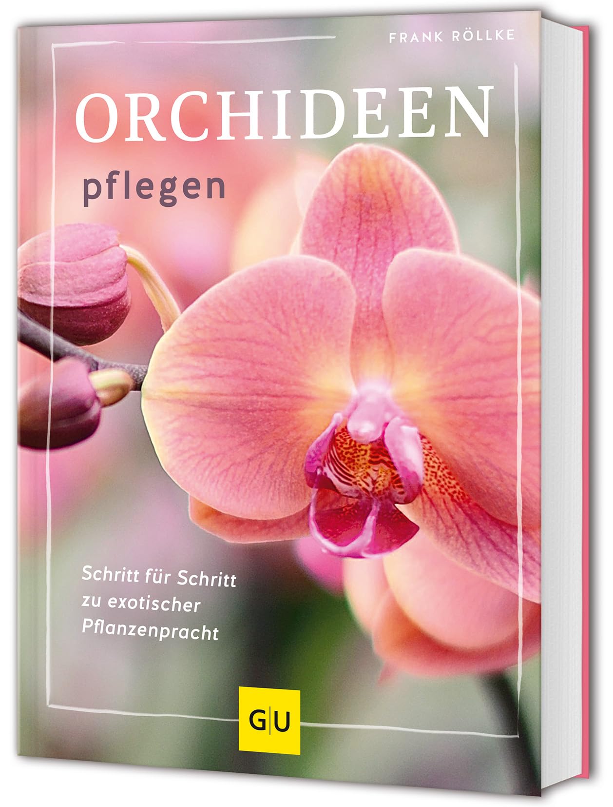 Orchideen pflegen Garden & Plants
