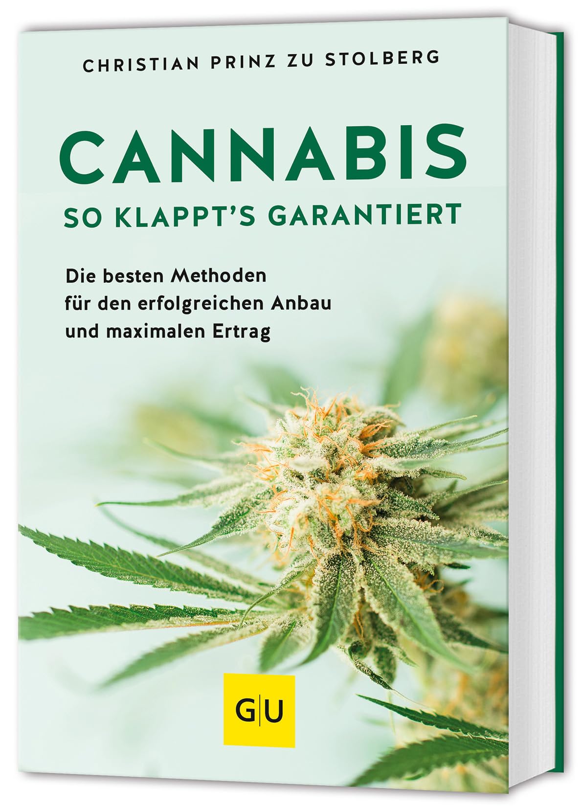 Cannabis Film, Art & Culture