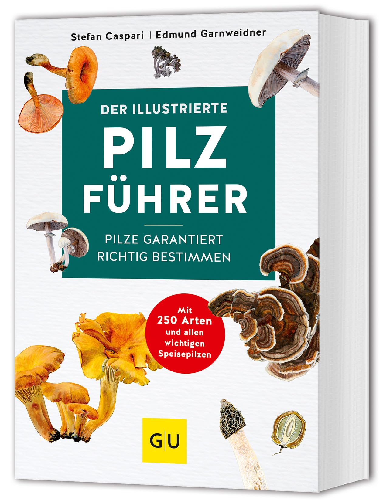 Der illustrierte Pilzführer: Pilze garantiert richtig bestimmen – Mit über 250 Illustrationen (GU Natur) Leisure, Home & Garden