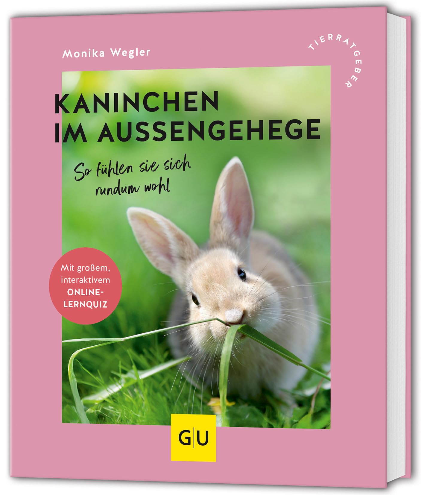 Kaninchen im Außengehege Pets