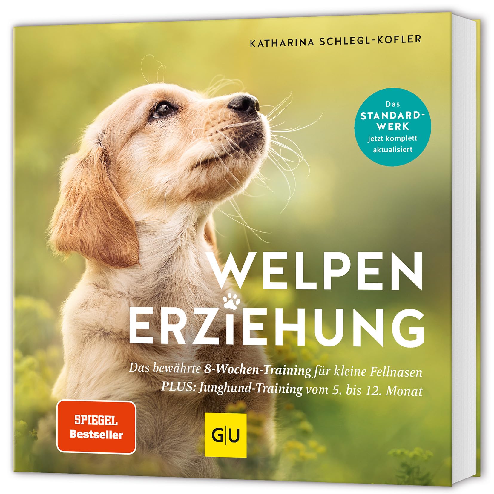 Welpen-Erziehung Pets