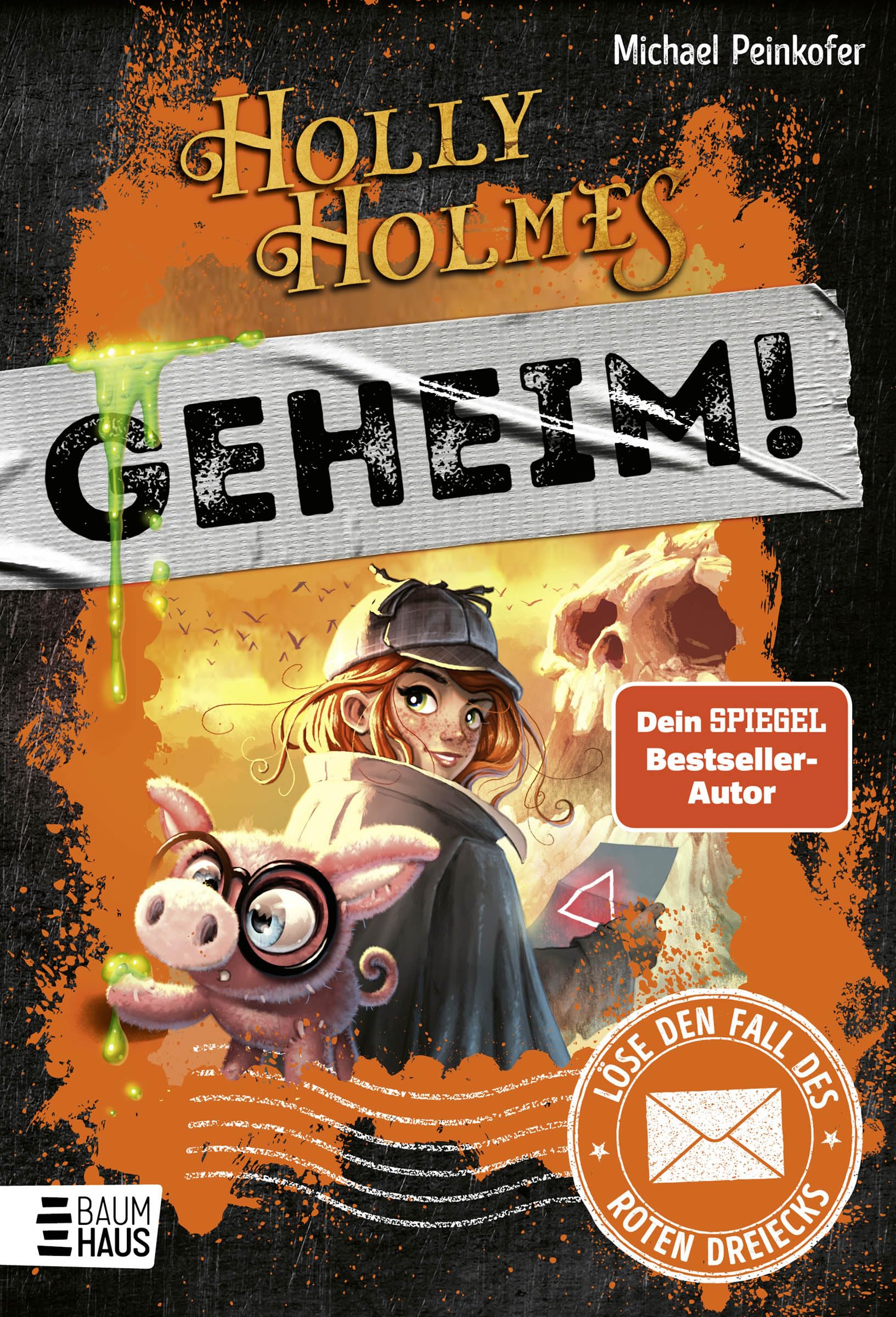 Holly Holmes: Löse den Fall des roten Dreiecks Non-fiction