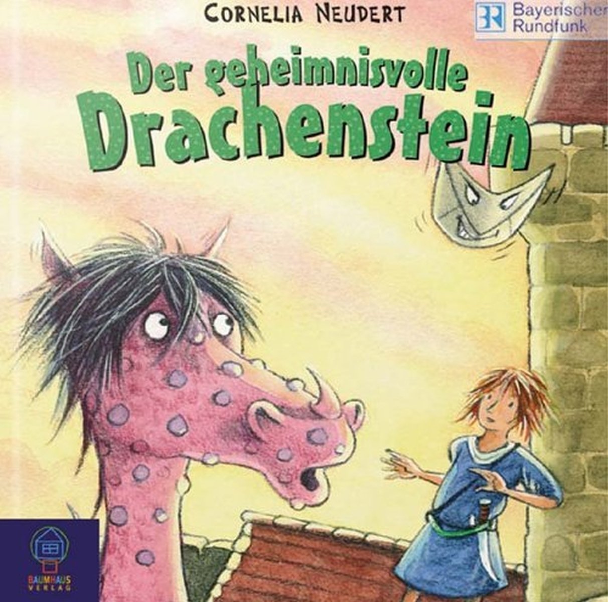 Der Geheimnisvolle Drachenstei Books