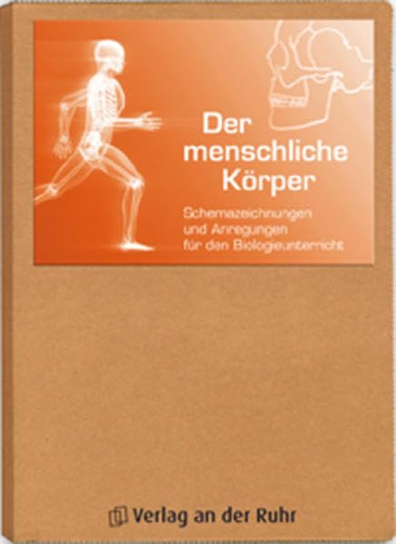 Der menschliche Körper: Schemazeichnungen und Anregungen für den Biologieunterricht Learning & Reference