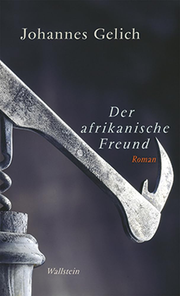Der afrikanische Freund Contemporary literature