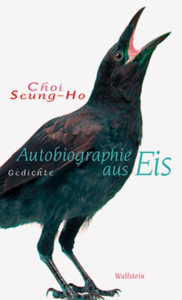 Product Image: Autobiographie aus Eis