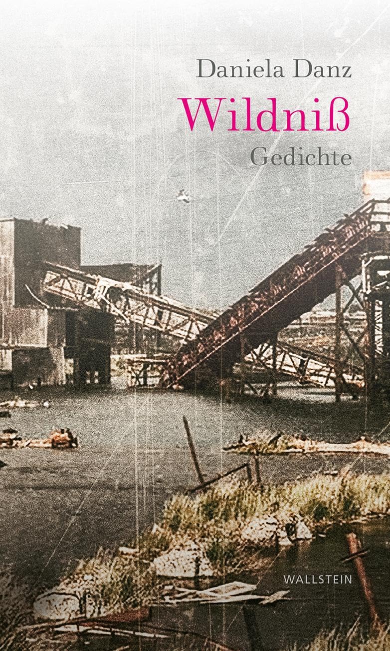 Wildniß: Gedichte Poetry