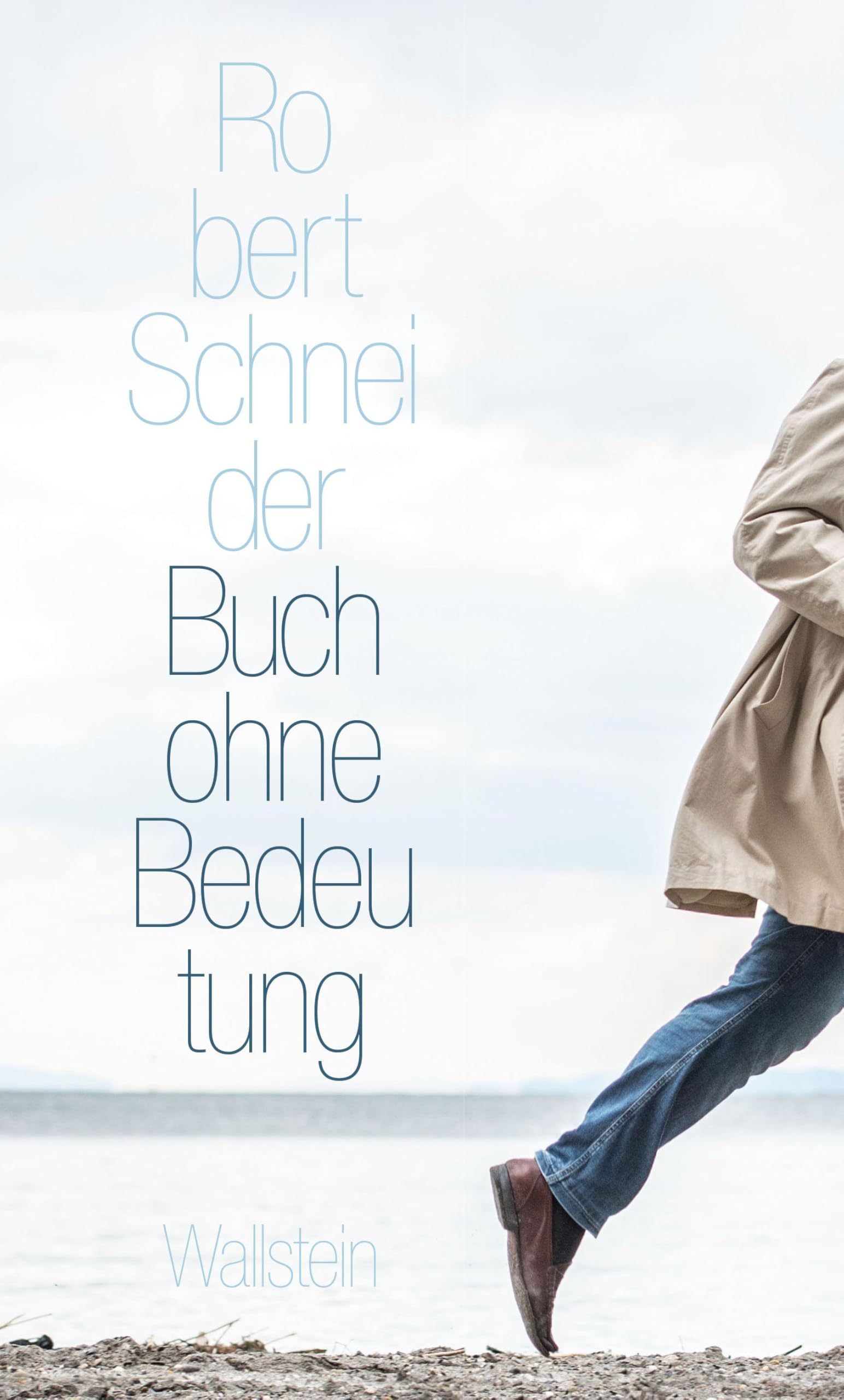 Buch ohne Bedeutung Social Sciences
