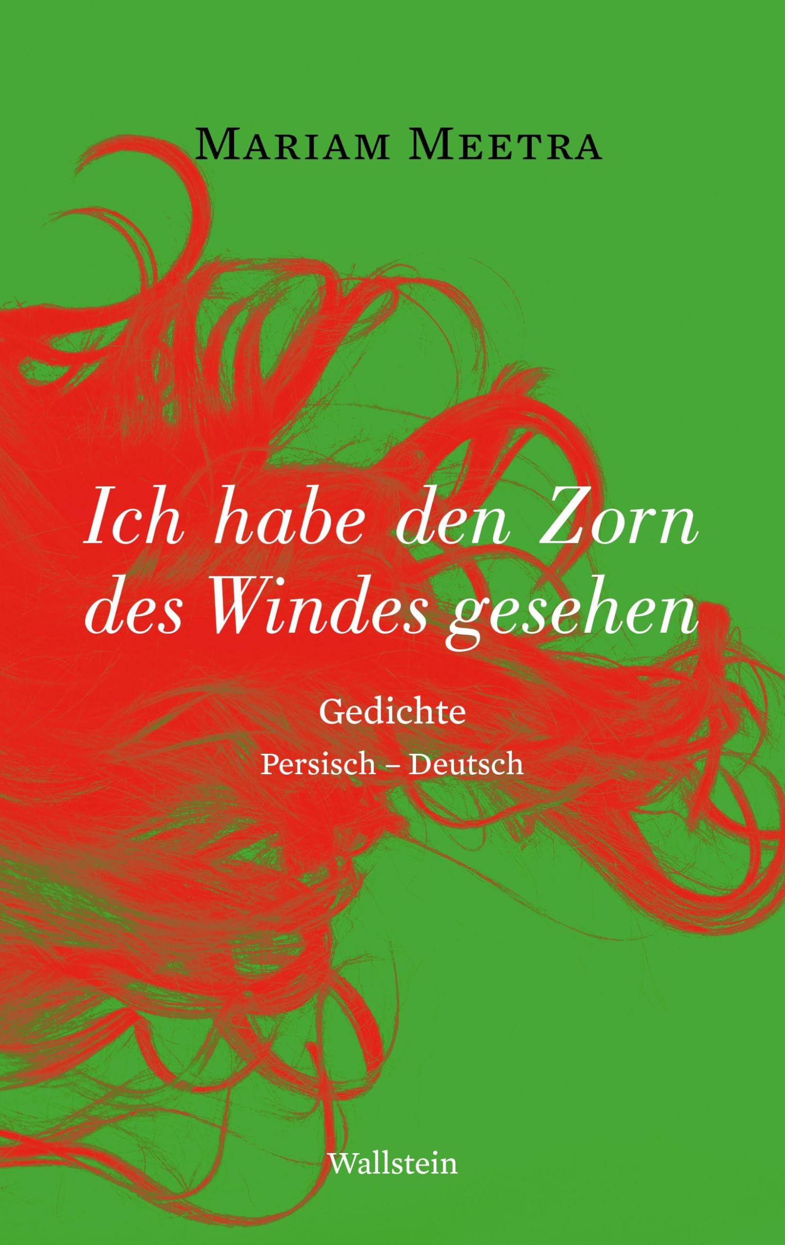 Ich habe den Zorn des Windes gesehen Poetry