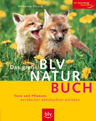 Das grosse BLV Naturbuch: Tiere und Pflanzen entdecken, beobachten, erleben. Der zuverlässige Naturführer Natural Sciences