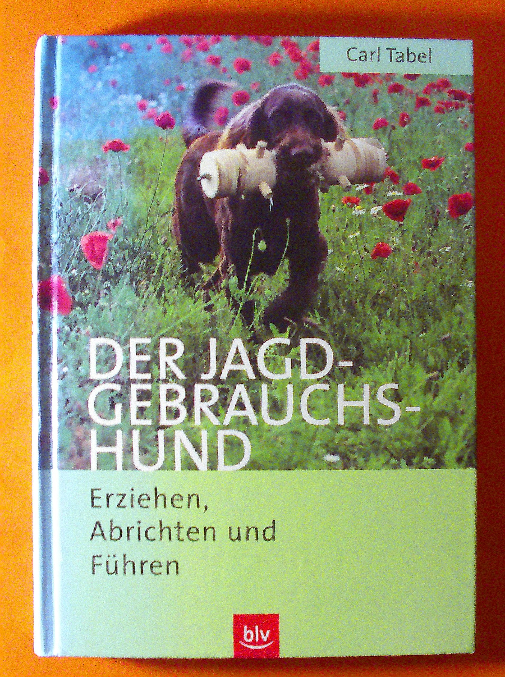 Der Jagdgebrauchshund: Erziehen, Abrichten und Führen. Der zuverlässige Jagdberater Leisure & Fun