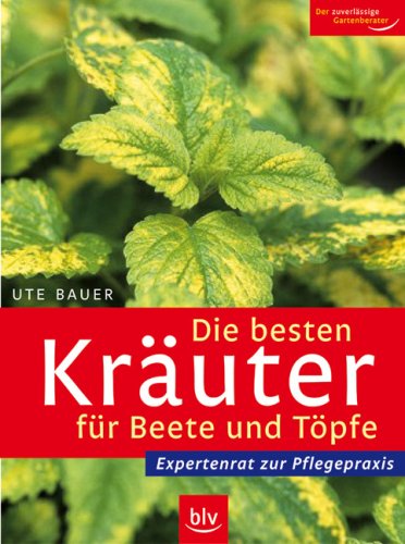 Die besten Kräuter für Beete und Töpfe Garden & Plants