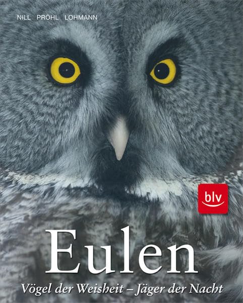 Eulen: Vögel der Weisheit, Jäger der Nacht Leisure, Home & Garden