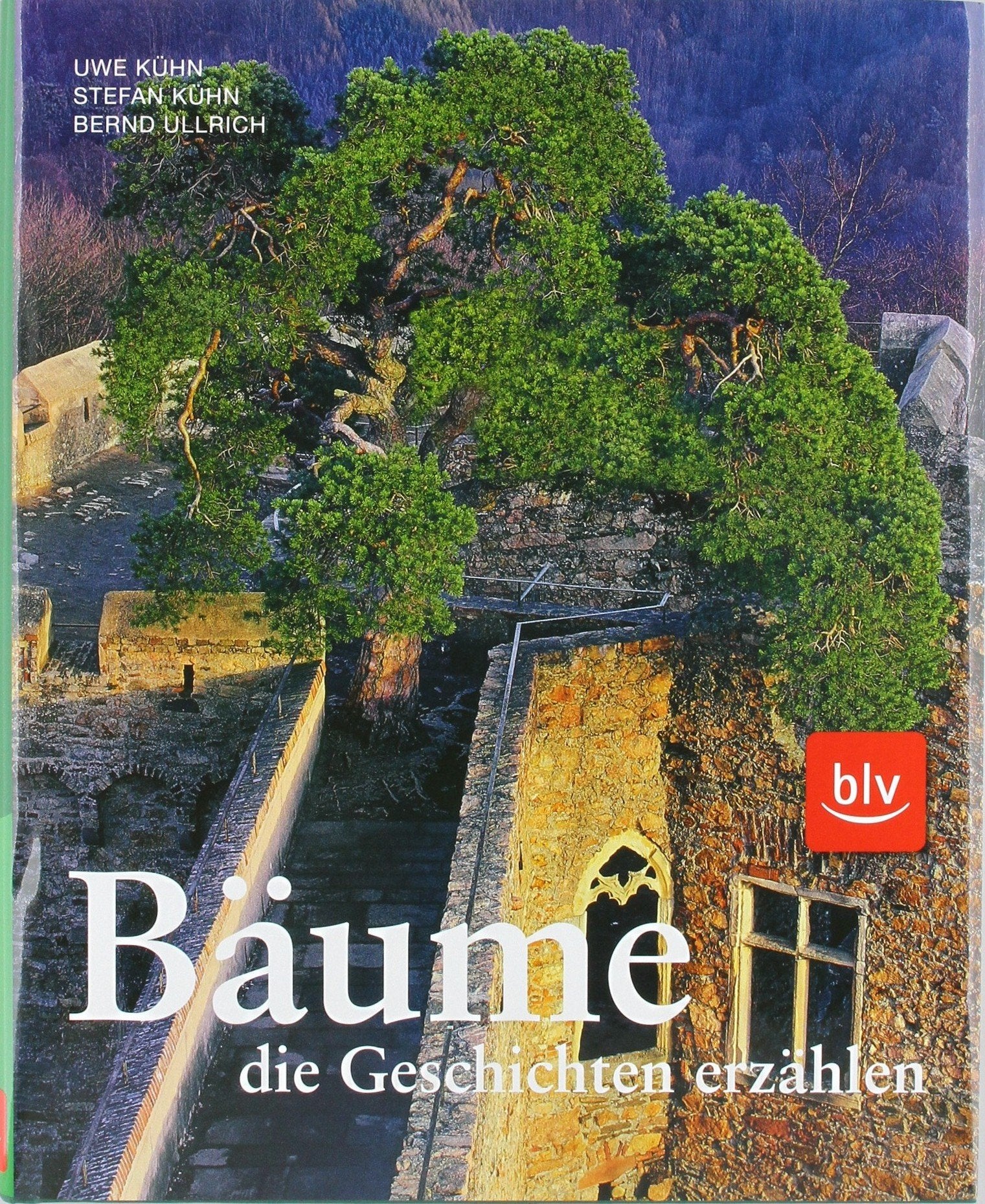 Bäume, die Geschichten erzählen: Von Tanzlinden, Gerichtseichen und heiligen Bäumen Leisure, Home & Garden