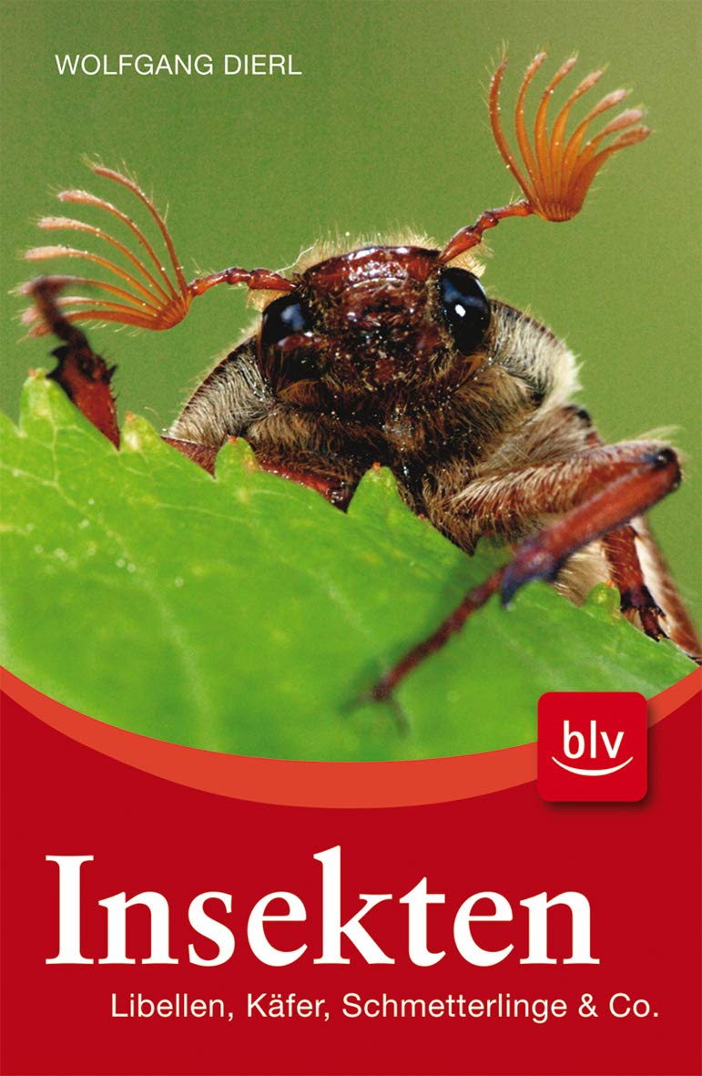 Insekten: Libellen, Käfer, Schmetterlinge und Co. (BLV) Leisure, Home & Garden