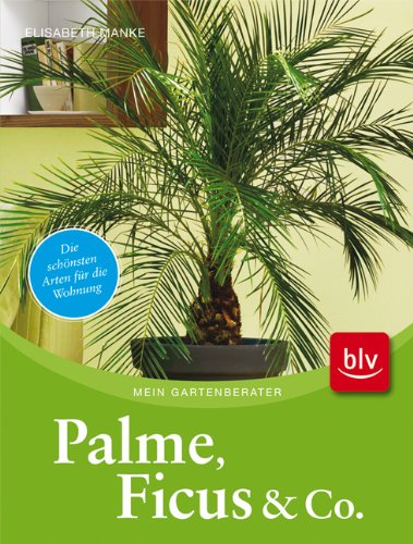 Palme, Ficus und Co.: Die schönsten Arten für die Wohnung Garden & Plants