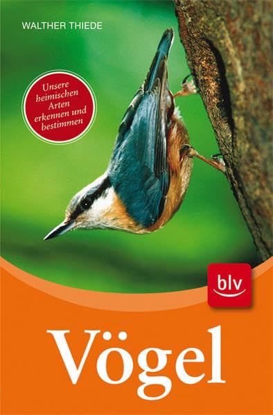 Vögel: Unsere heimischen Arten erkennen und bestimmen Leisure, Home & Garden