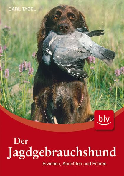 Der Jagdgebrauchshund: Erziehen · Abrichten · Führen Leisure & Fun