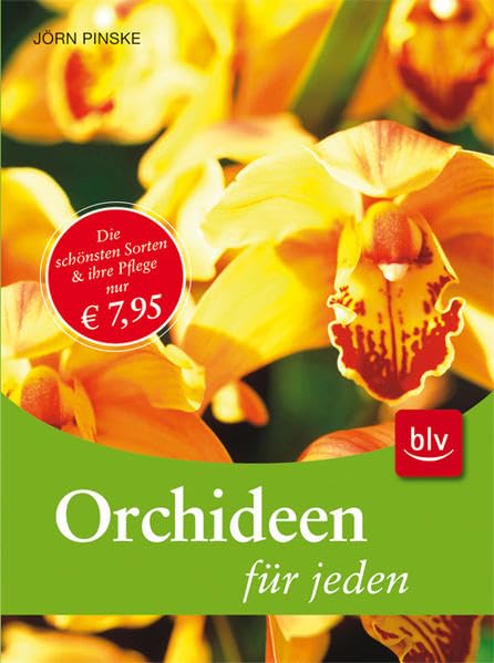 Orchideen für jeden Garden & Plants