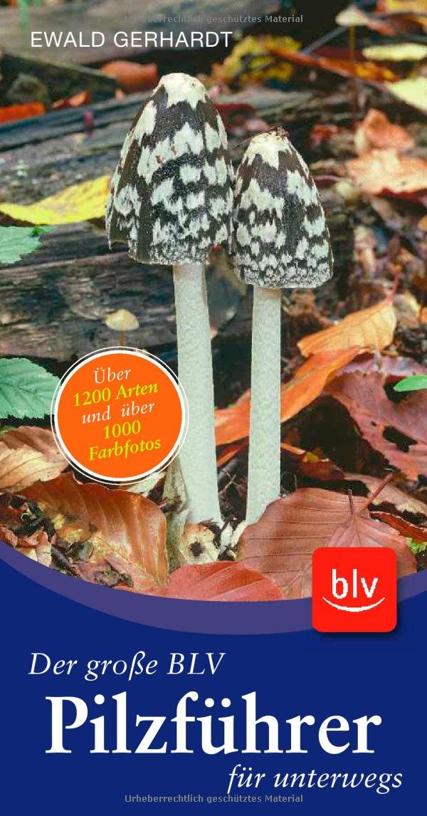 Der große BLV Pilzführer für unterwegs: Über 1200 Arten und über 1000 Farbfotos Natural Sciences