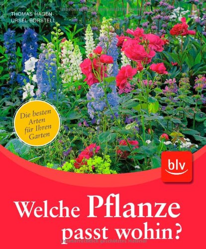 Welche Pflanze passt wohin? Garden & Plants