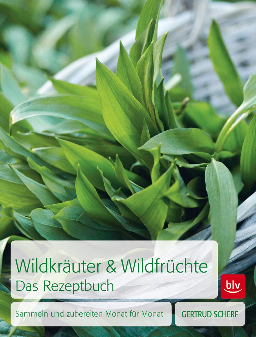 Wildkräuter & Wildfrüchte - das Rezeptbuch Garden & Plants