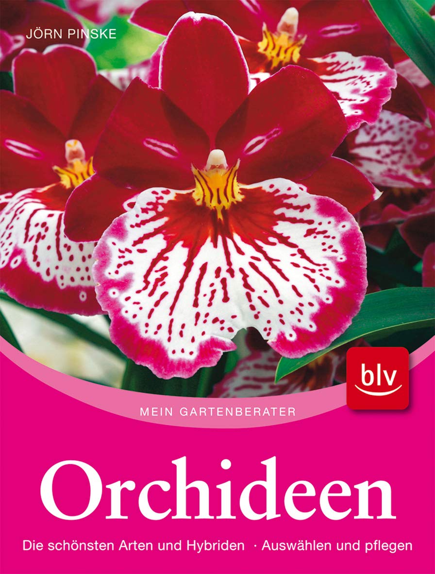 Orchideen Garden & Plants