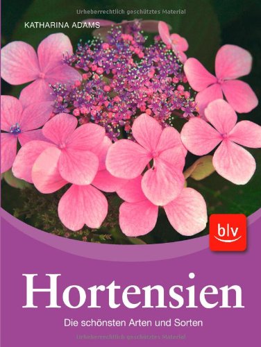 Hortensien: Die schönsten Arten und Sorten Garden & Plants