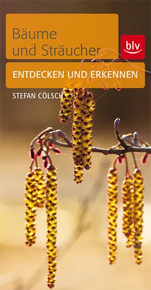 Bäume & Sträucher: Entdecken und erkennen Leisure, Home & Garden