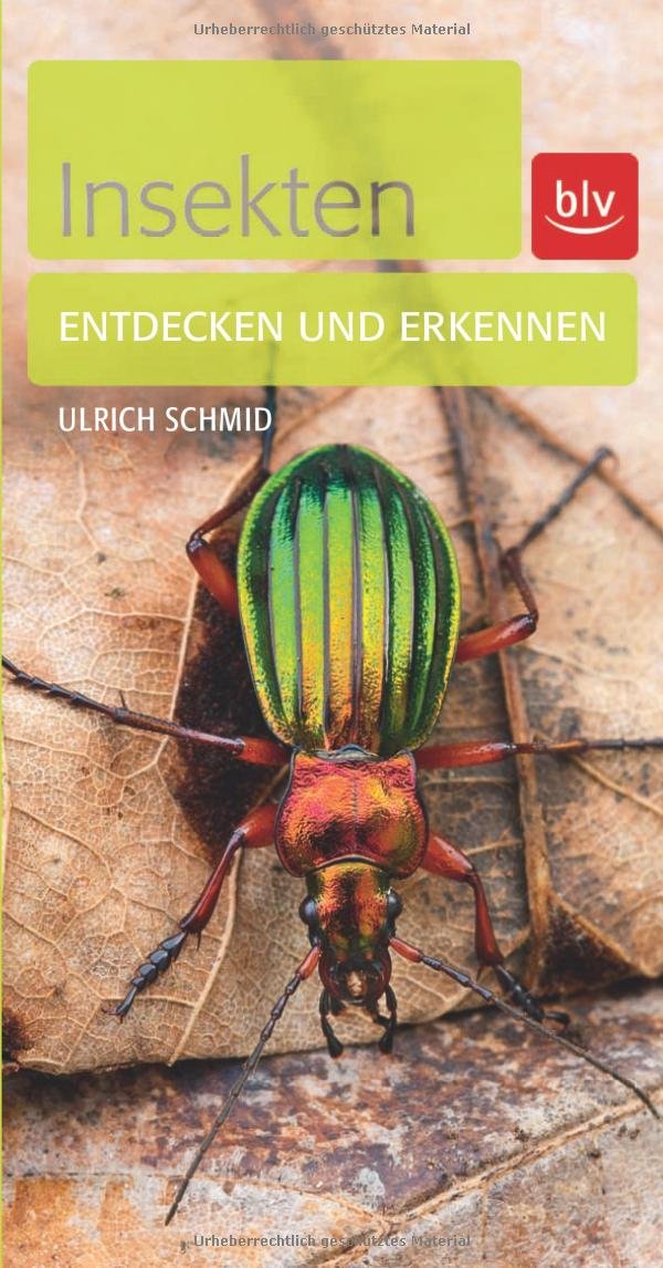 Insekten: Entdecken und erkennen Leisure, Home & Garden