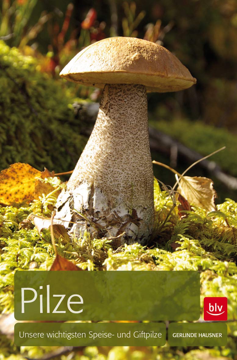 Pilze: Unsere wichtigsten Speise- und Giftpilze Leisure, Home & Garden