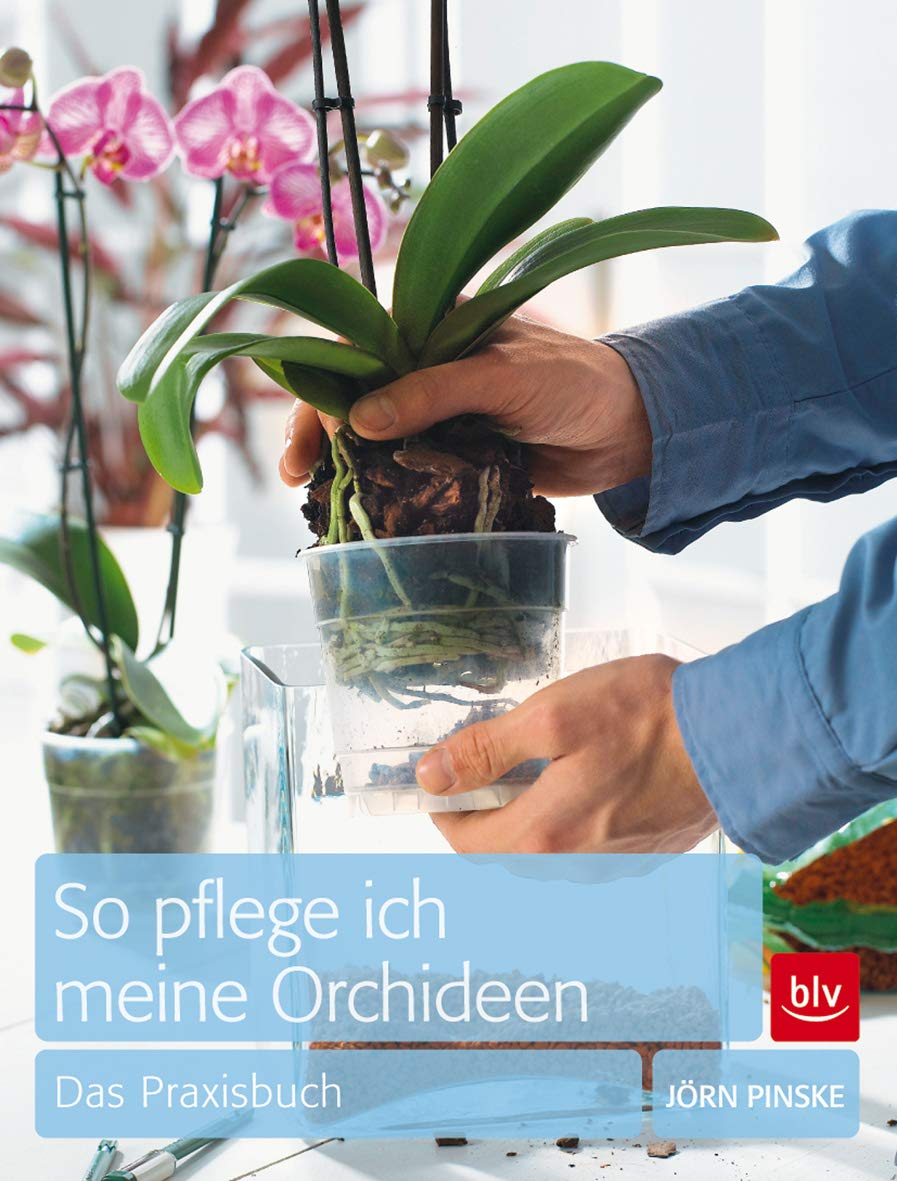 So pflege ich meine Orchideen: Das Praxisbuch (BLV Pflanzenpraxis) Garden & Plants