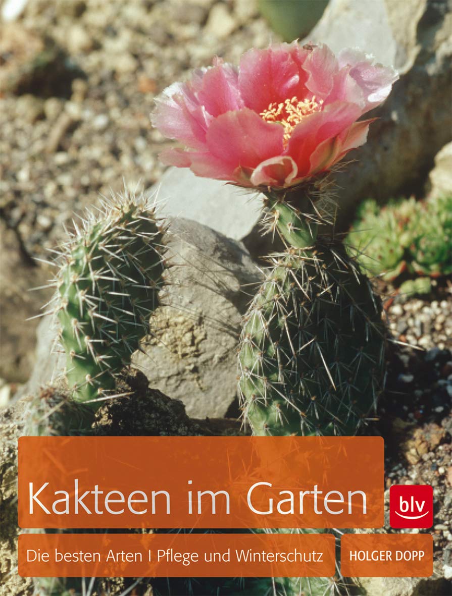 Kakteen im Garten: Die besten Arten / Pflege und Winterschutz: Die richtigen Arten · Pflege und Winterschutz Garden & Plants