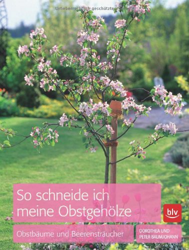 So schneide ich meine Obstgehölze: Obstbäume und Beerensträucher Garden & Plants