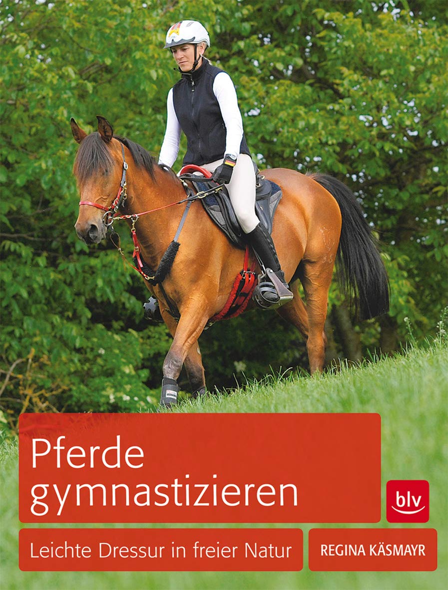 Pferde gymnastizieren Pets