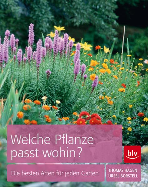 Welche Pflanze passt wohin?: Die besten Arten für den Garten Garden & Plants
