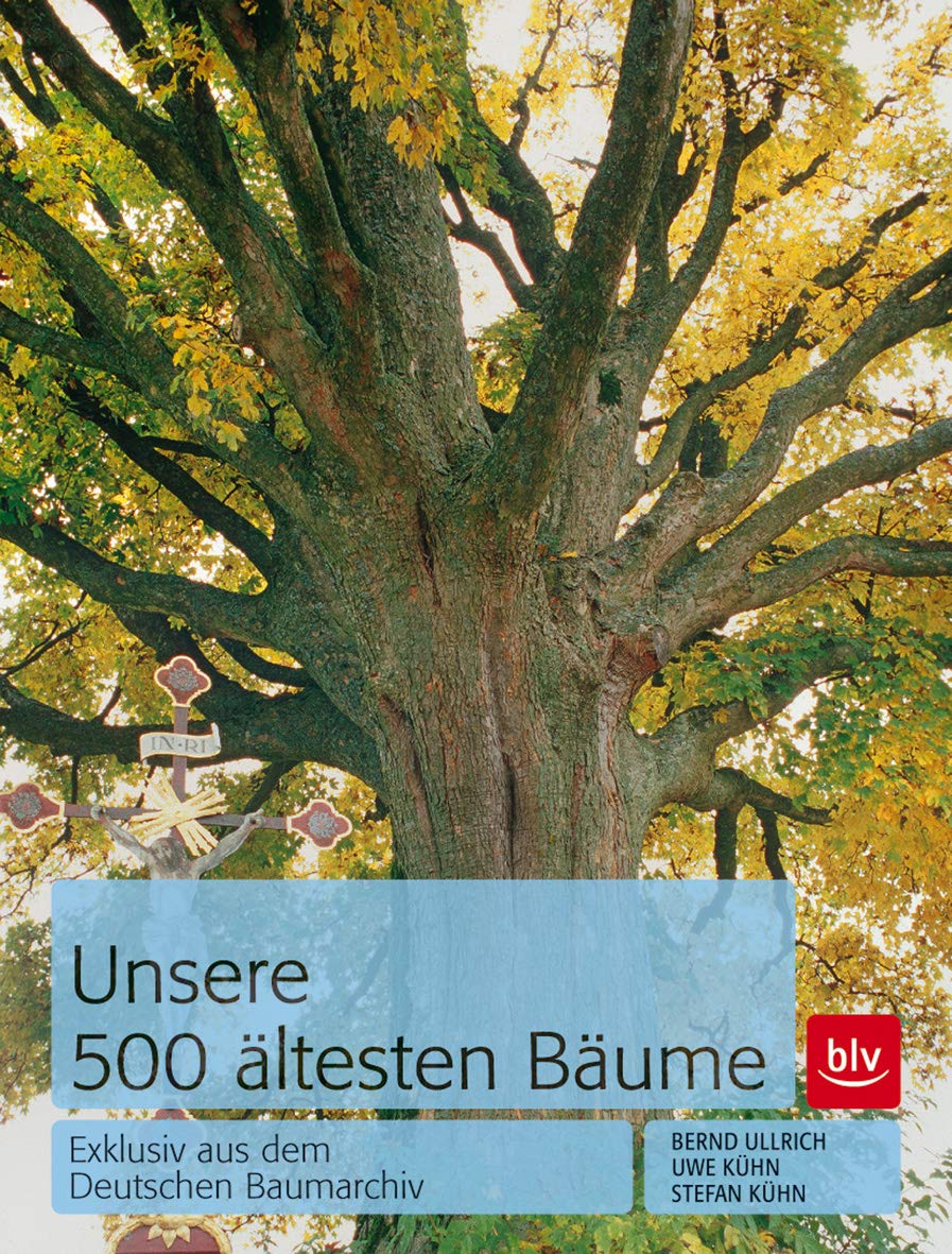 Unsere 500 ältesten Bäume Leisure, Home & Garden