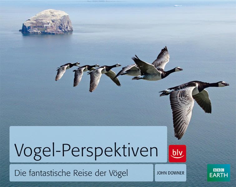 Vogel-Perspektiven: Die fantastische Reise der Vögel Leisure, Home & Garden