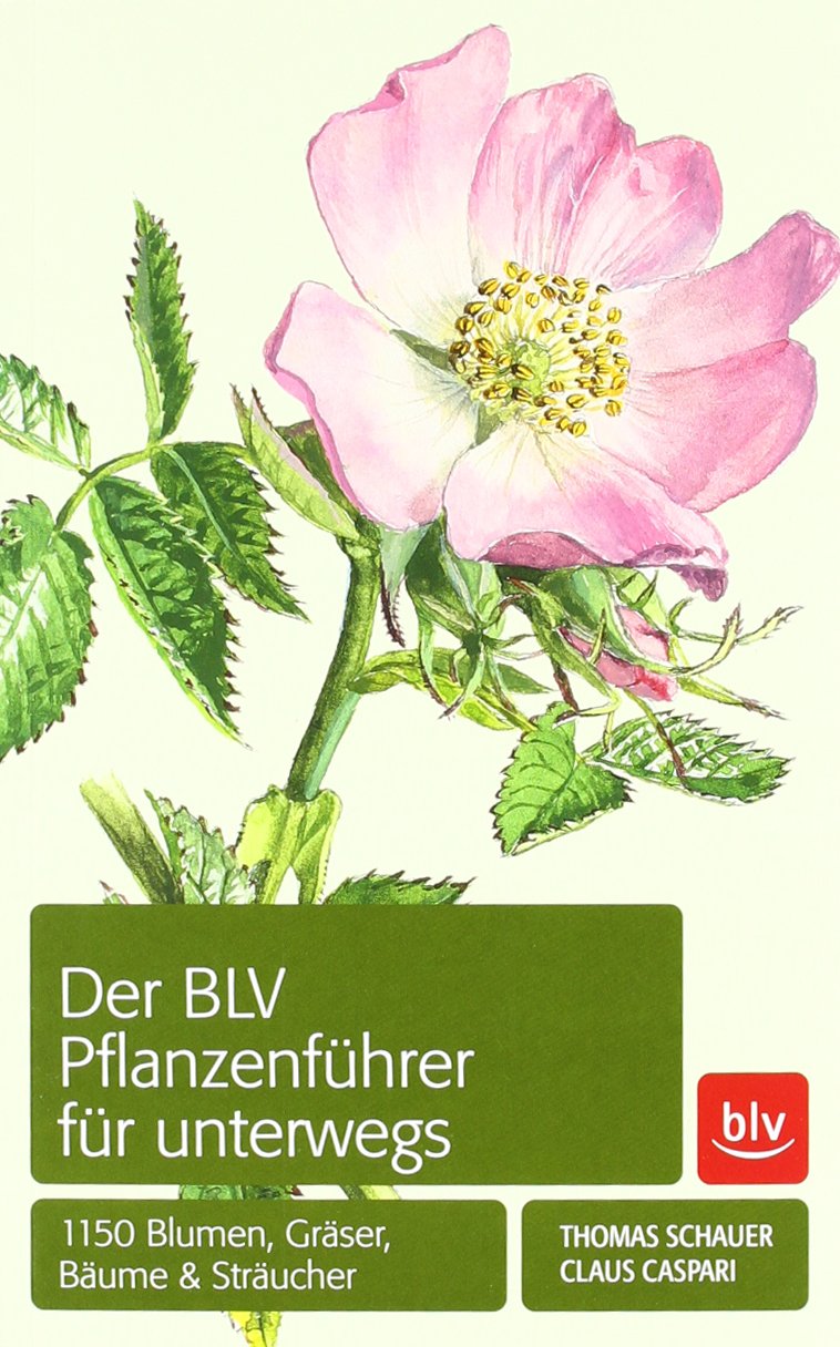Der BLV Pflanzenführer für unterwegs: 1150 Blumen, Gräser, Bäume und Sträucher Garden & Plants