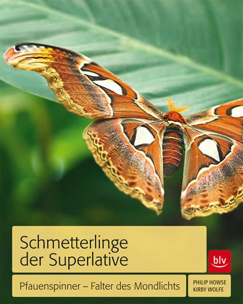 Schmetterlinge der Superlative: Pfauenspinner - Falter des Mondlichts Leisure, Home & Garden