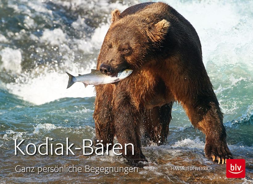 Kodiak-Bären: Ganz persönliche Begegnungen Photography