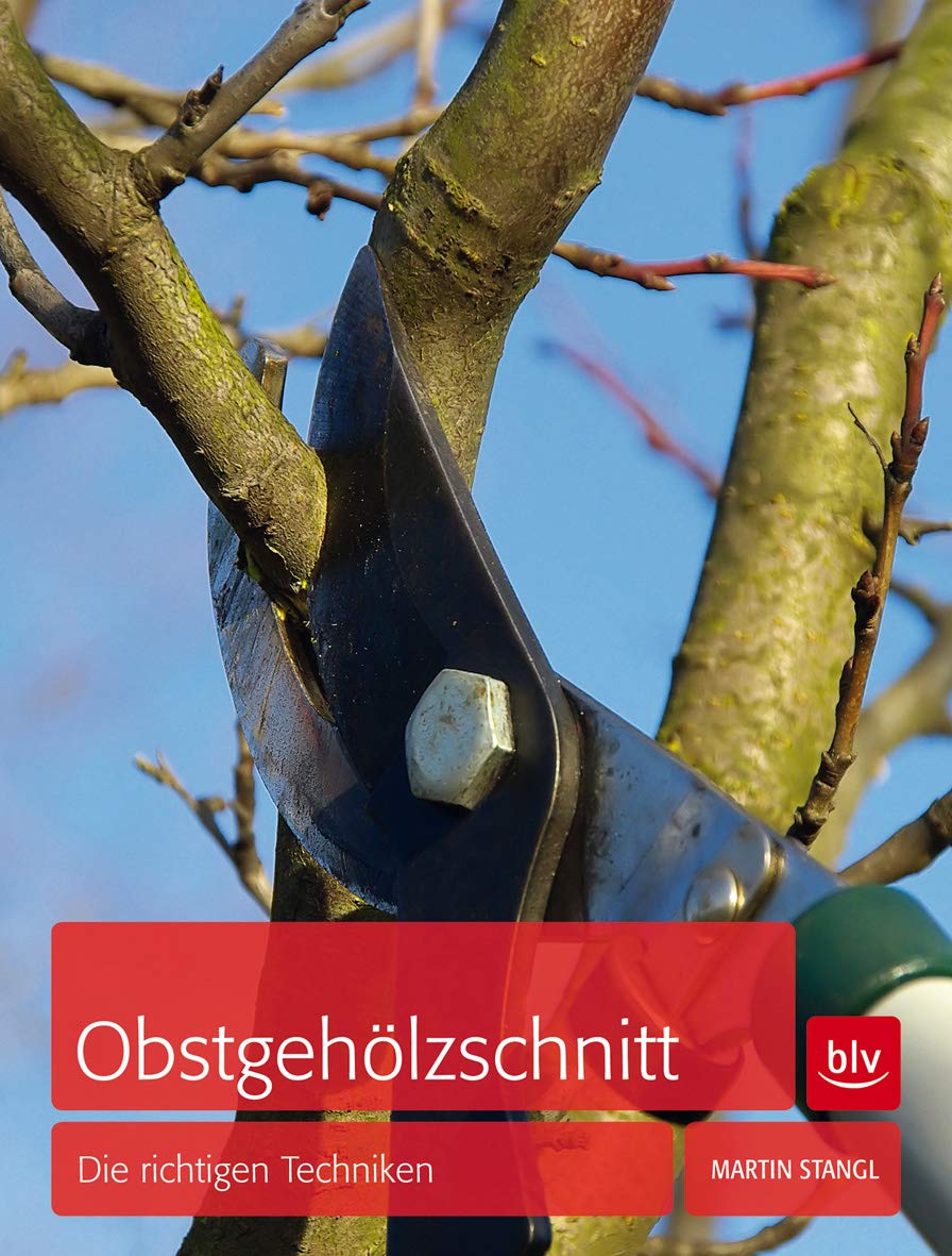 Obstgehölzschnitt: Die richtigen Techniken (BLV Gartenpraxis) Garden & Plants