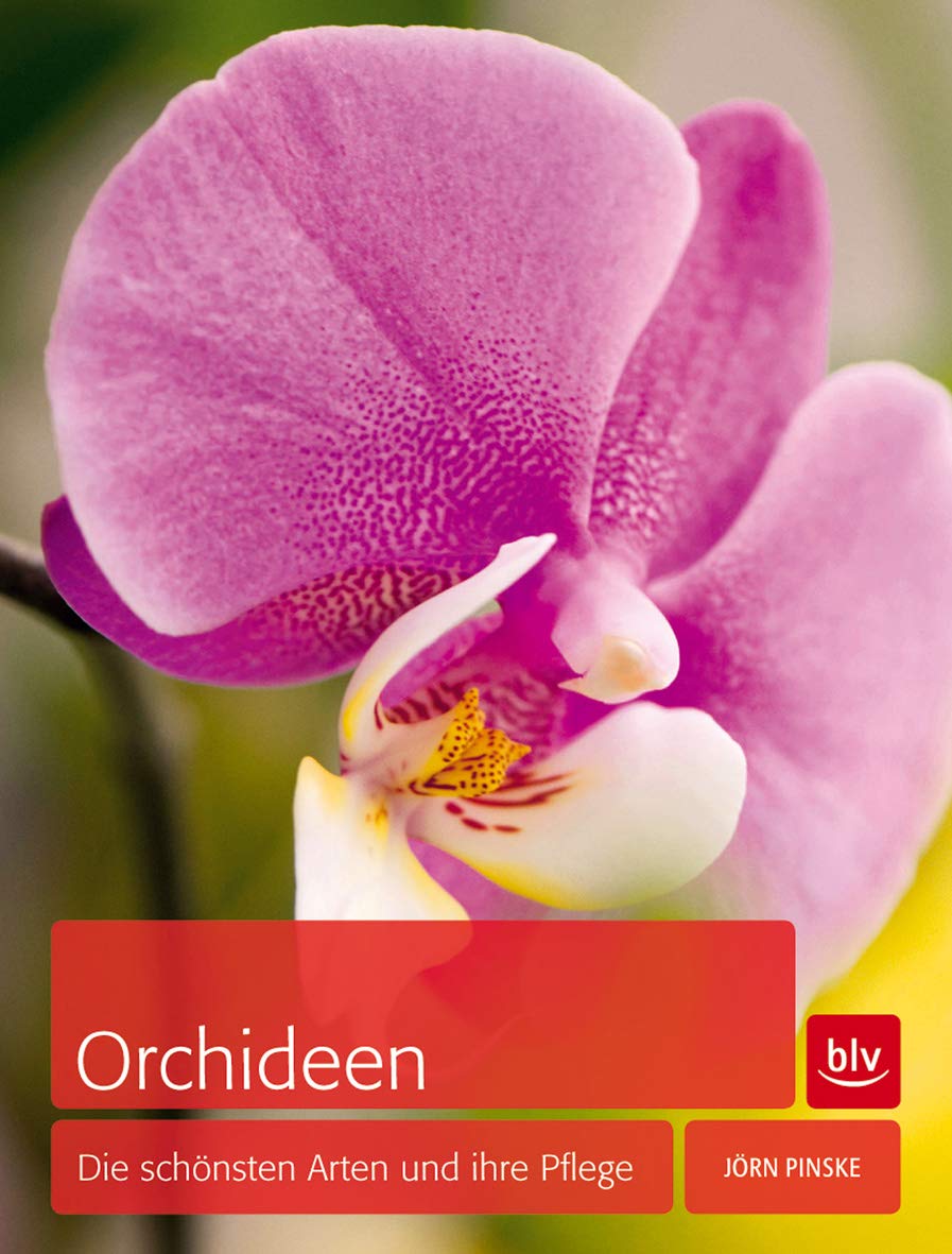 Product Image: Orchideen