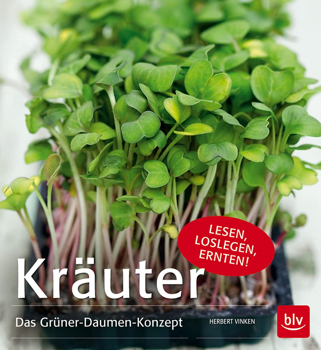 Kräuter: Das Grüner-Daumen-Konzept Garden & Plants