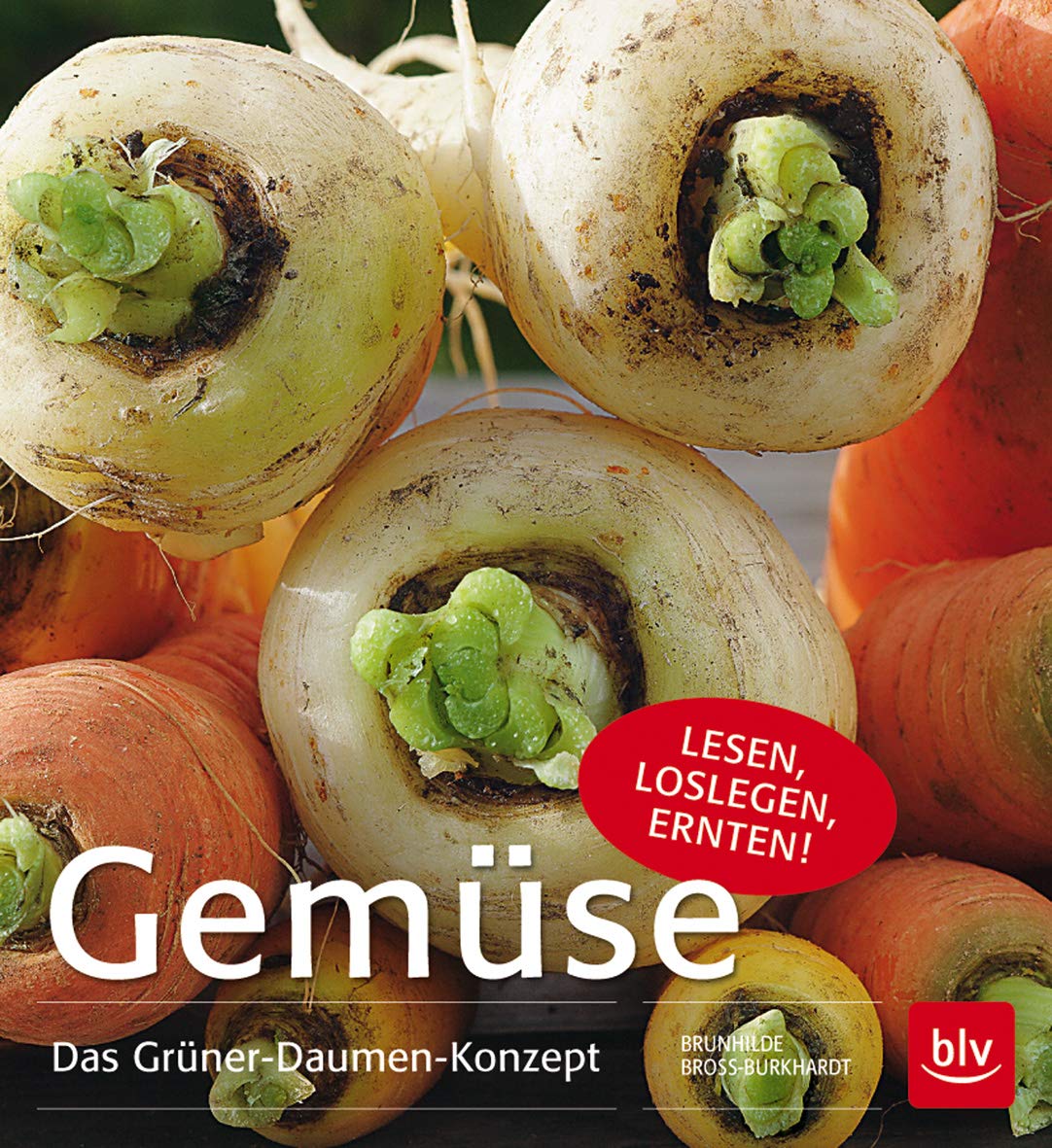 Gemüse Garden & Plants