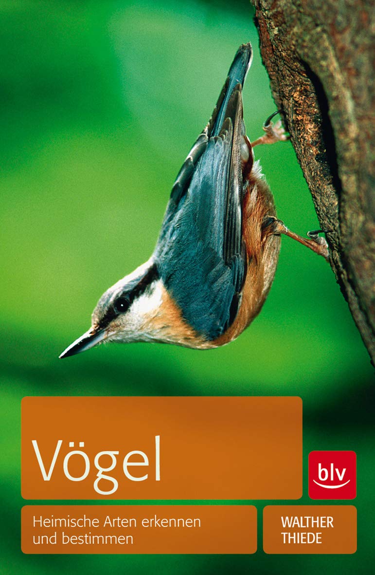 Vögel: Heimische Arten erkennen und bestimmen (BLV Vögel) Leisure, Home & Garden