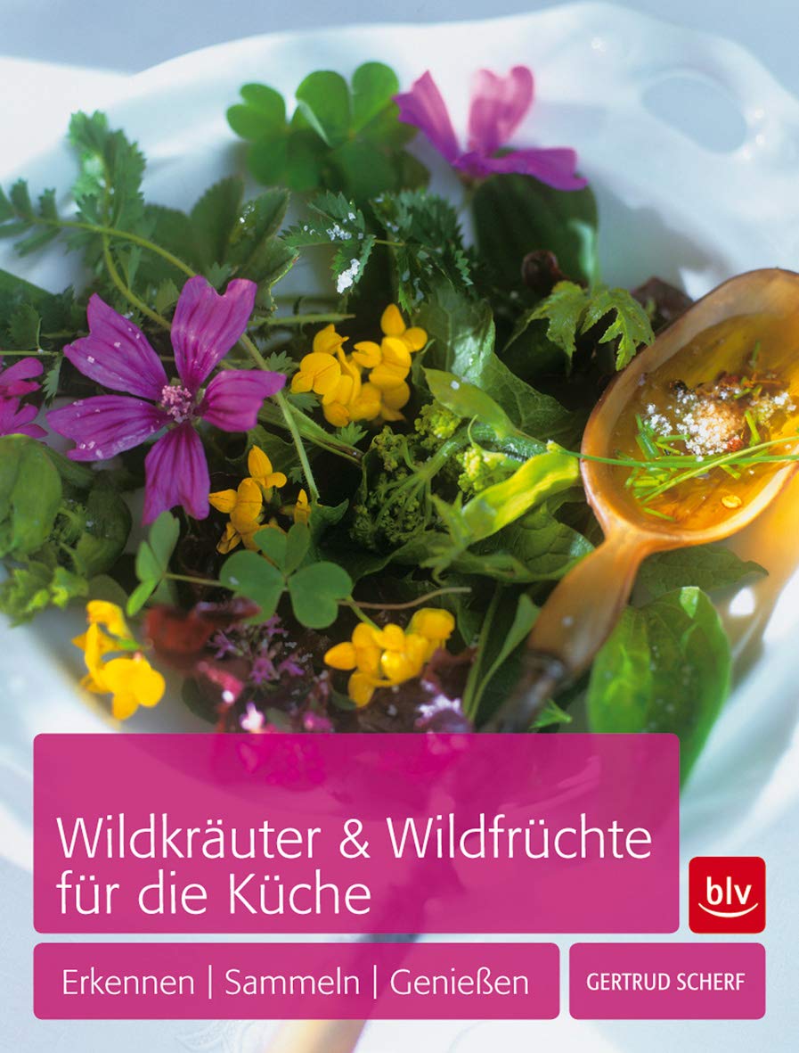Wildkräuter & Wildfrüchte für die Küche: Erkennen - Sammeln - Genießen Leisure, Home & Garden