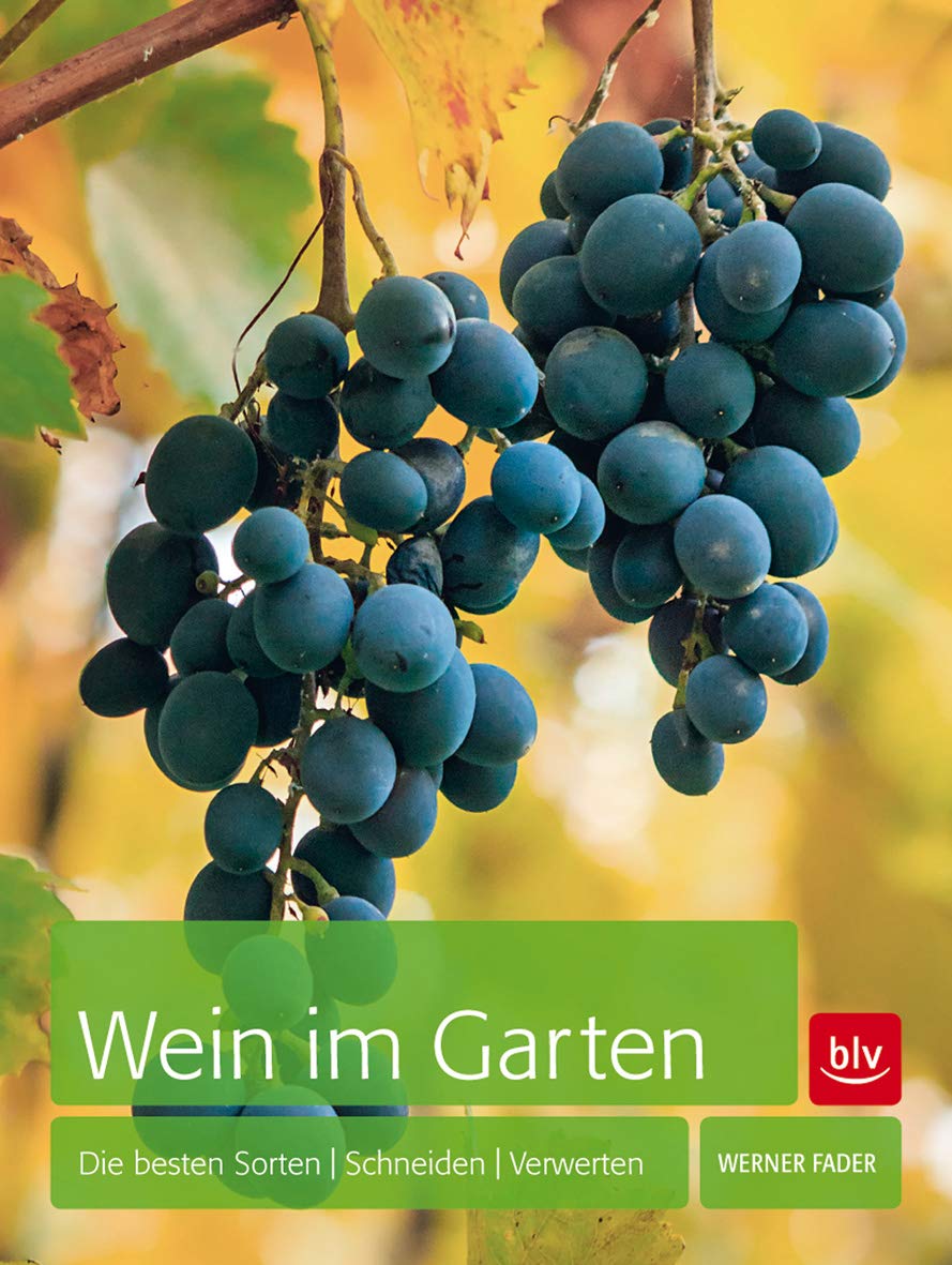 Wein im Garten: Die besten Sorten - Schneiden - Verwerten Garden & Plants
