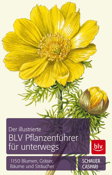 Der illustrierte BLV Pflanzenführer für unterwegs: 1150 Blumen, Gräser, Bäume und Sträucher Leisure, Home & Garden